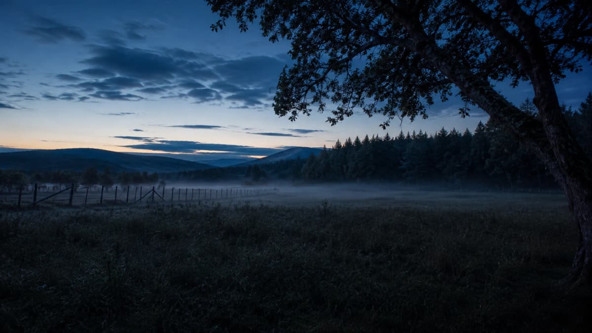 Best Night Vision Scopes for Hunting 2026: 6 Digital Picks