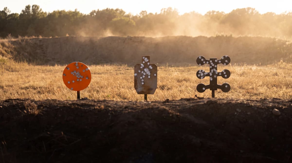Best Steel Targets 2026: AR500 Gongs, Trees & Stands