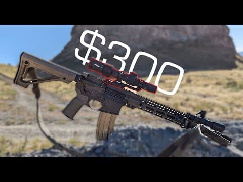 What Is The Cheapest LPVO Worth A Damn | Sig MSR 1-6x