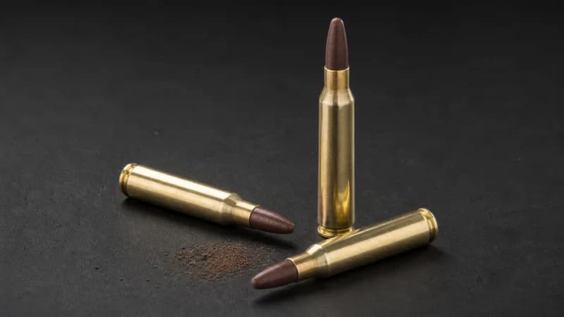ICC .223 Rem 45gr 100% Lead-Free Frangible