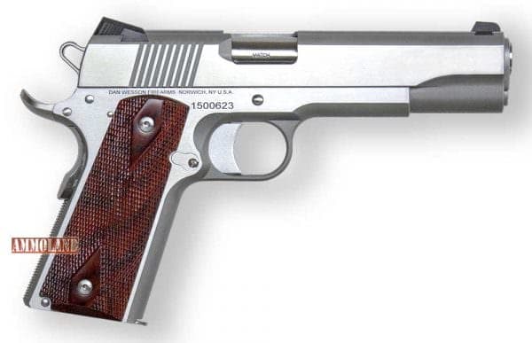 Dan Wesson Razorback 10mm