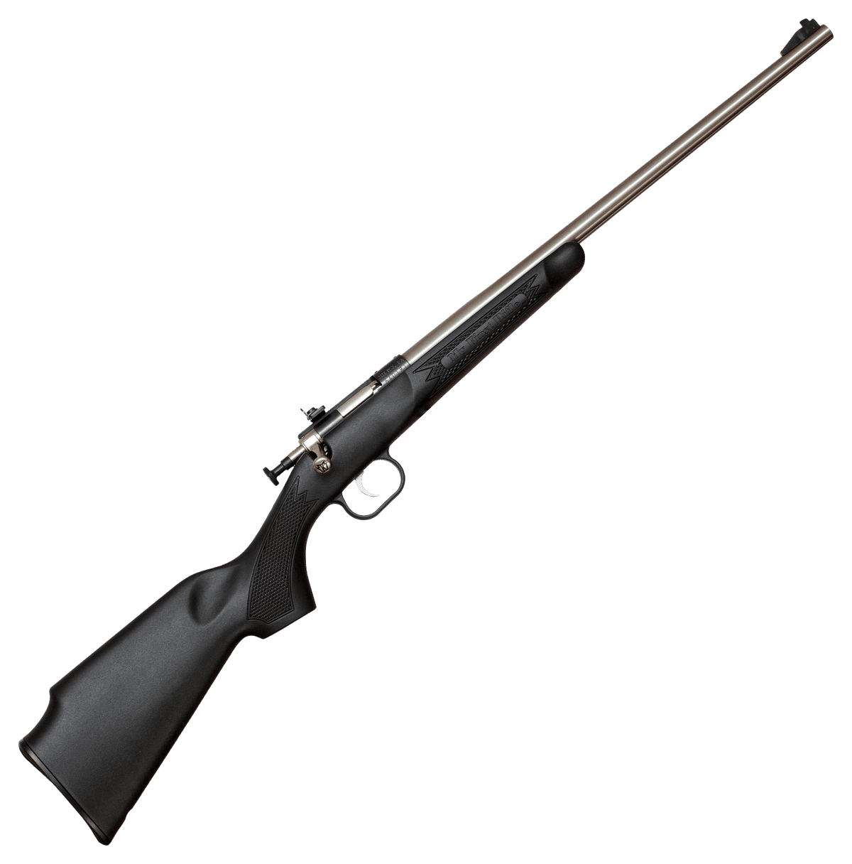 Keystone Crickett (My First Rifle)