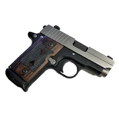 SIG P238