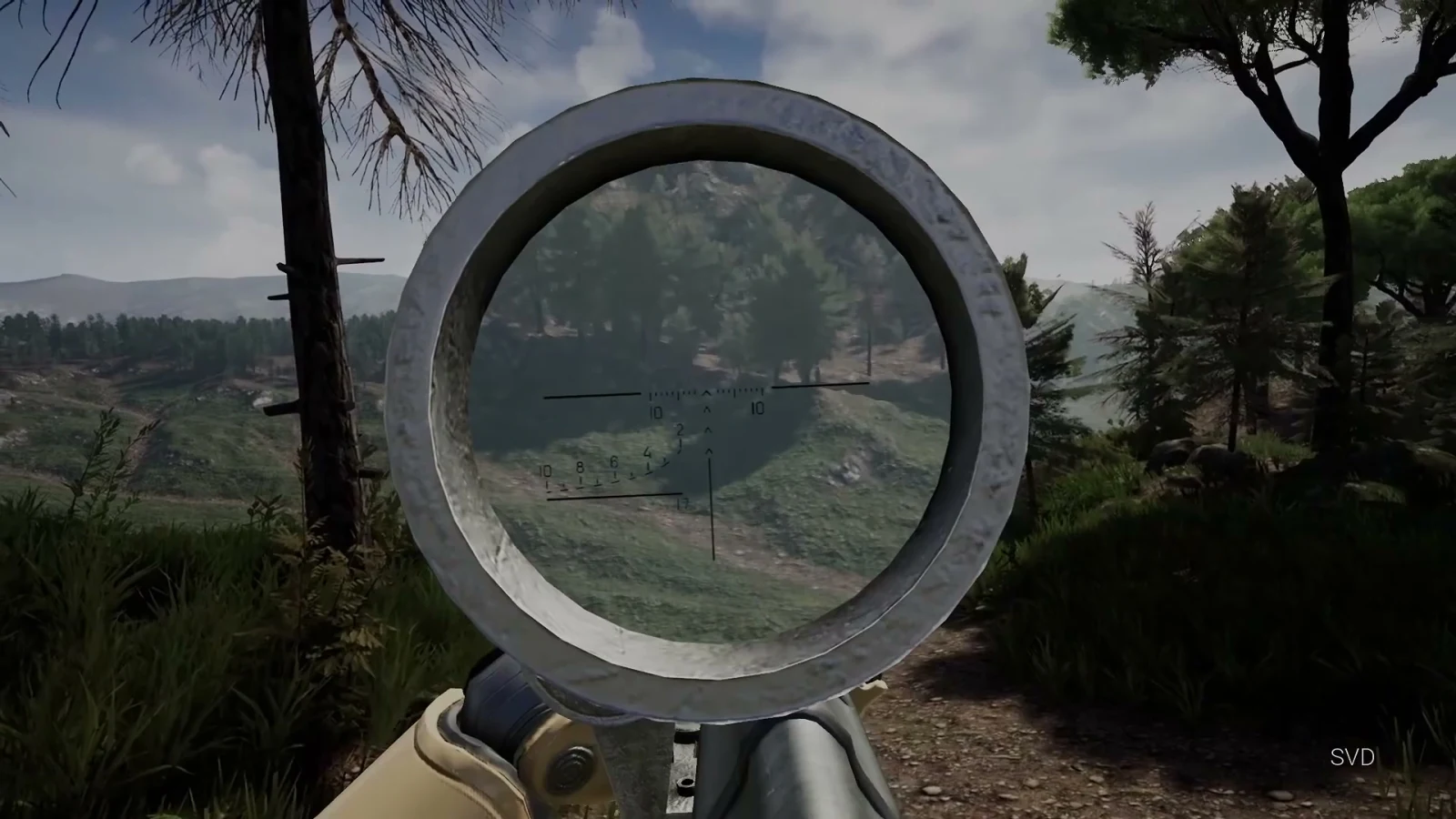 Bodycam SVD scope view with the magnified image contained inside the optic while the surrounding world remains unmagnified