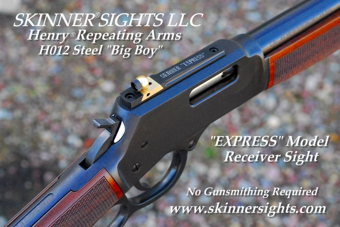 Skinner peep sight mounted on a Henry lever action rifle receiver, showing the ghost-ring aperture design