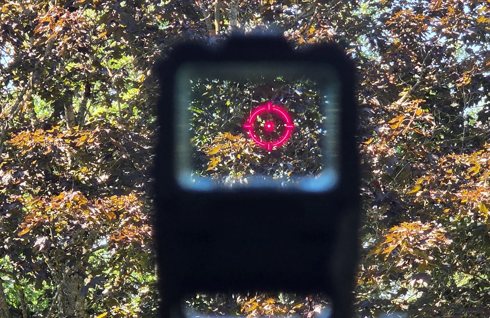Shooter's eye view through the Holosun AEMS Pro X2 showing the 65 MOA circle and 2 MOA center dot against fall foliage