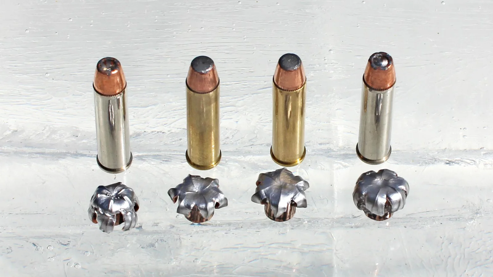Expanded copper hollow point bullet on display after ballistic gel testing