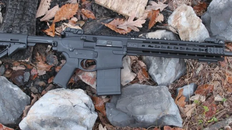 PWS MK216 .308 piston rifle profile showing receiver, handguard, stock, and barrel