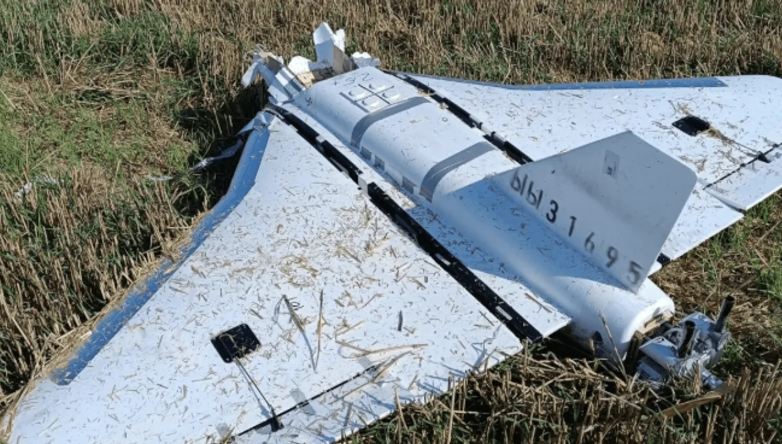 Wreckage of a light-colored Shahed-type delta-wing attack drone lying in a Ukrainian wheat field, with Cyrillic serial numbers on the wing and the small pusher engine visible at the rear