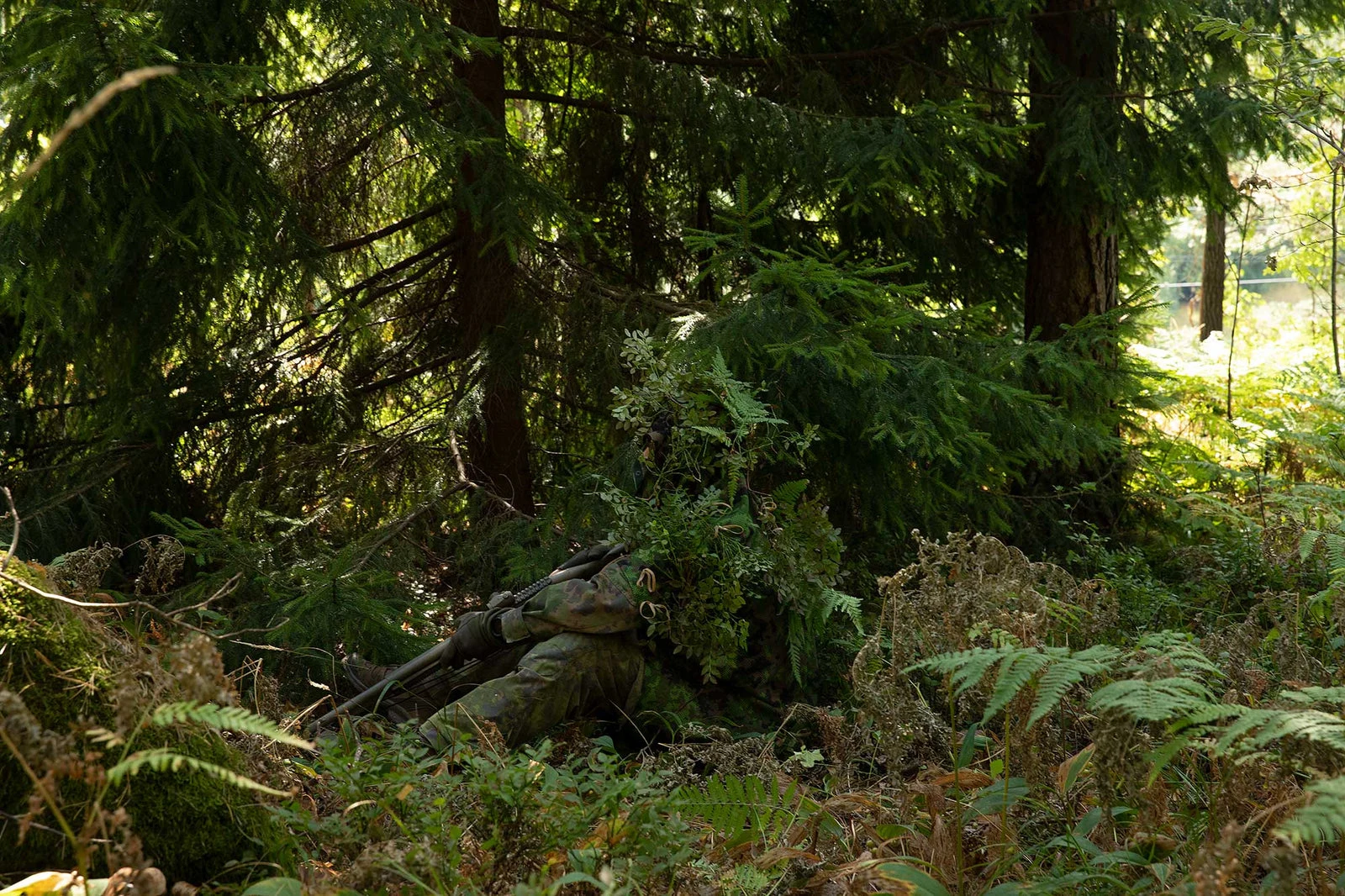 A shooter concealed under a camouflage cloak with a rifle in dense Finnish forest, barely distinguishable from the surrounding ferns and spruce