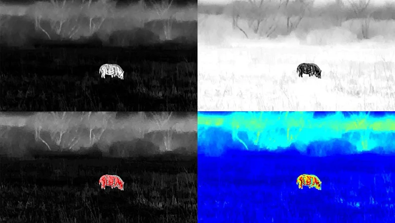 Four-panel view showing a wild hog through different thermal color palettes on the Vortex Veil 400