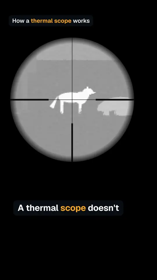 How a thermal scope works